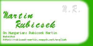 martin rubicsek business card